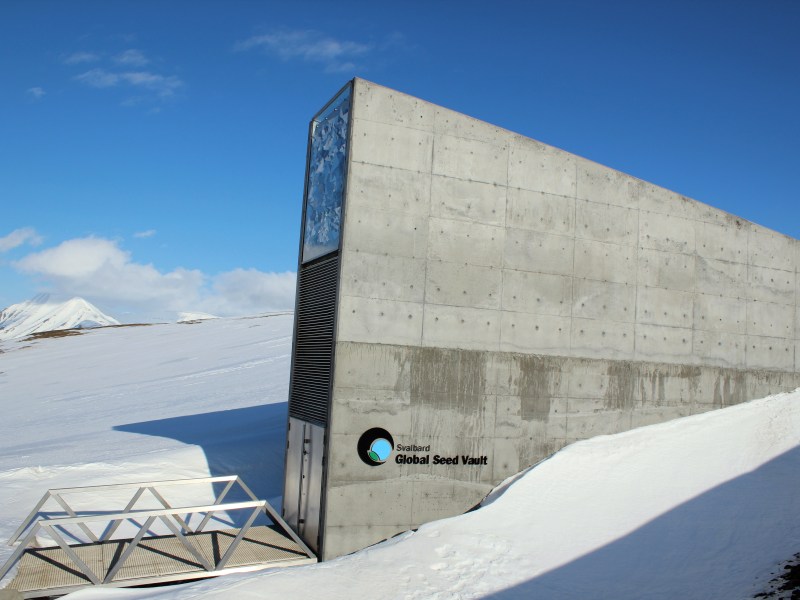 Entrace to the Svalbard Global Seed Vault in the sunshine